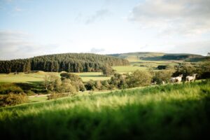 Rolling countryside around Pendle Hill in Lancashire